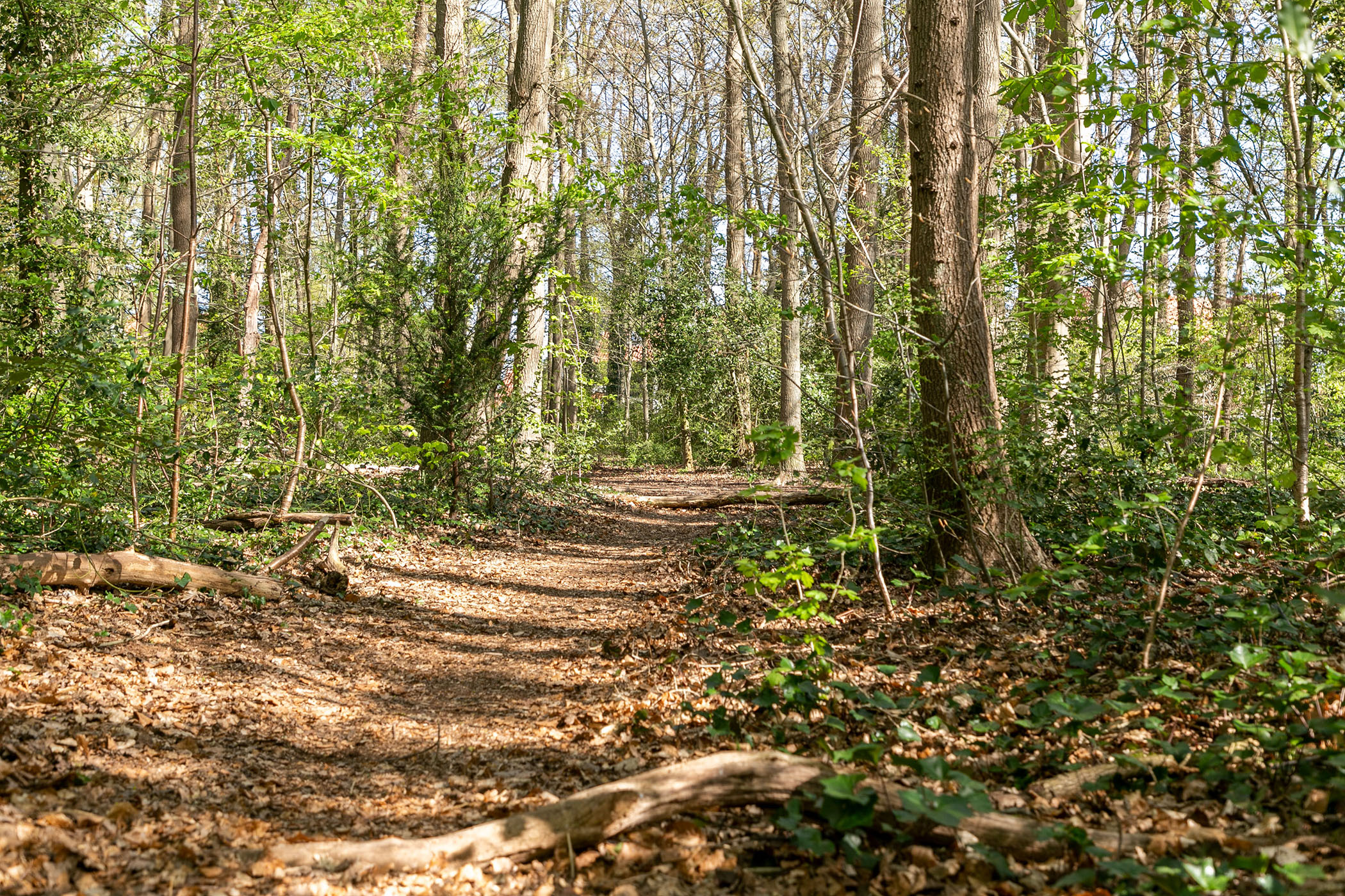 Amersfoort Makelaardij